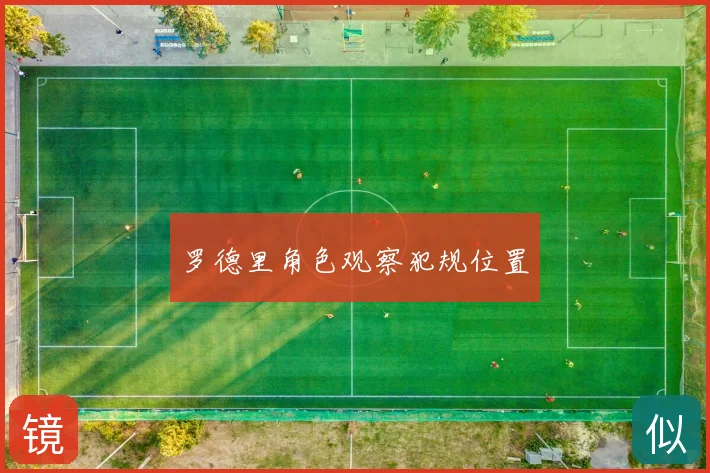 罗德里角色观察犯规位置